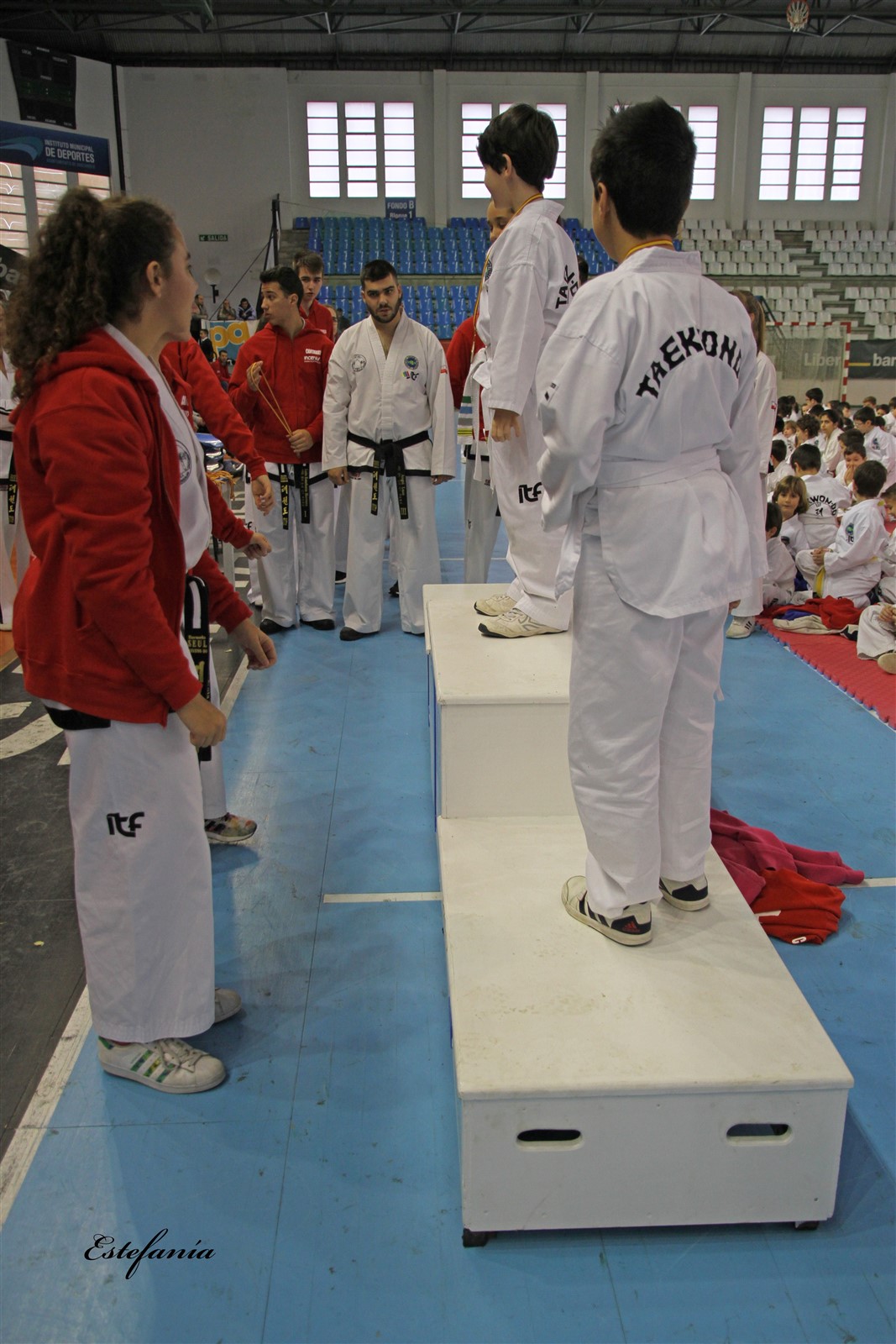 Taekwondo (246).jpg